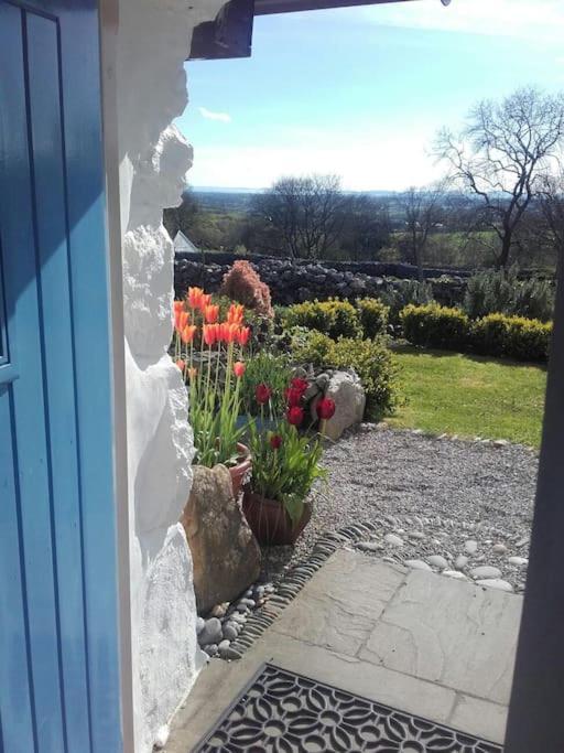 Traditional Stone Cottage With Sea Views In Snowdonia National Park Brynkir Exterior photo
